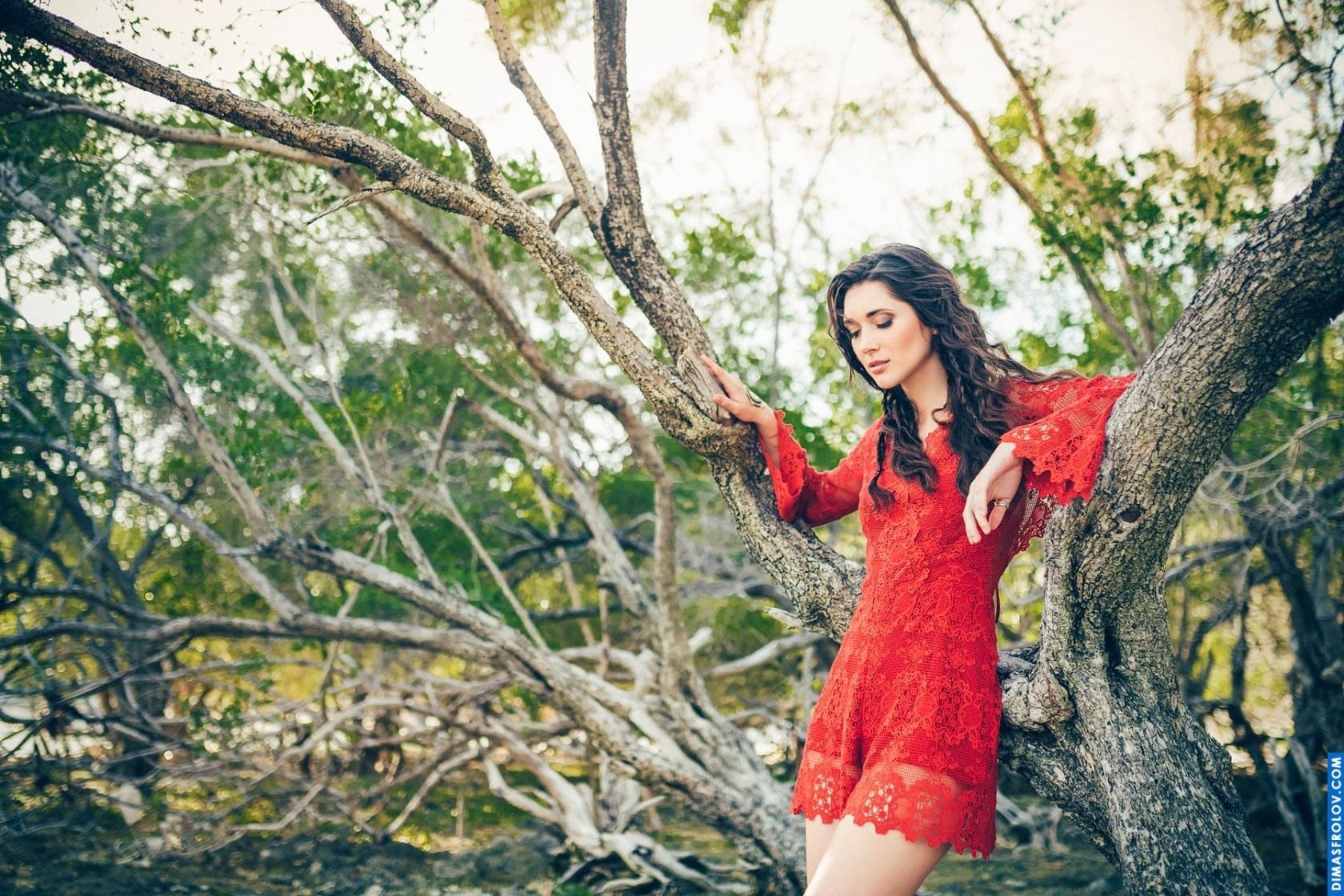 Retrato artístico de uma garota em um vestido vermelho entre os galhos das árvores