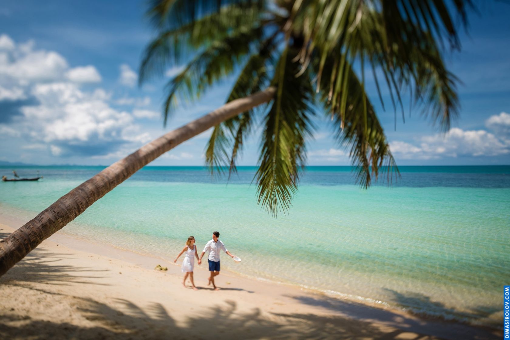 Couple walking along tropical beach under a palm tree, holding hands