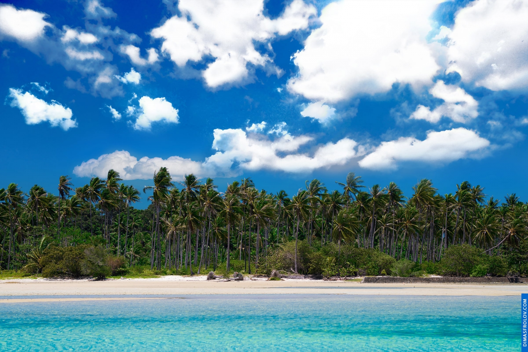 Praia tropical com areia branca, água turquesa e uma fileira de palmeiras sob um céu azul brilhante com nuvens dispersas
