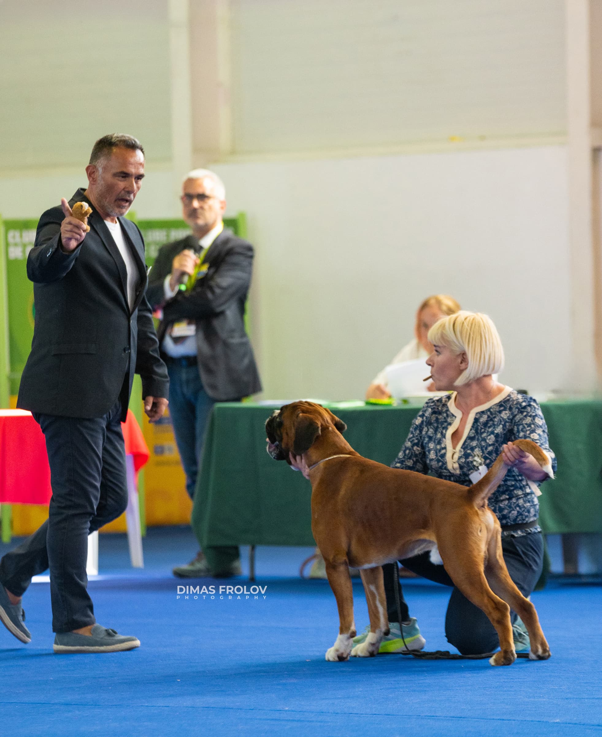 dogs Aveiro Dog Show 2025. photo 129671 (2025-07-20 13:03:01)
