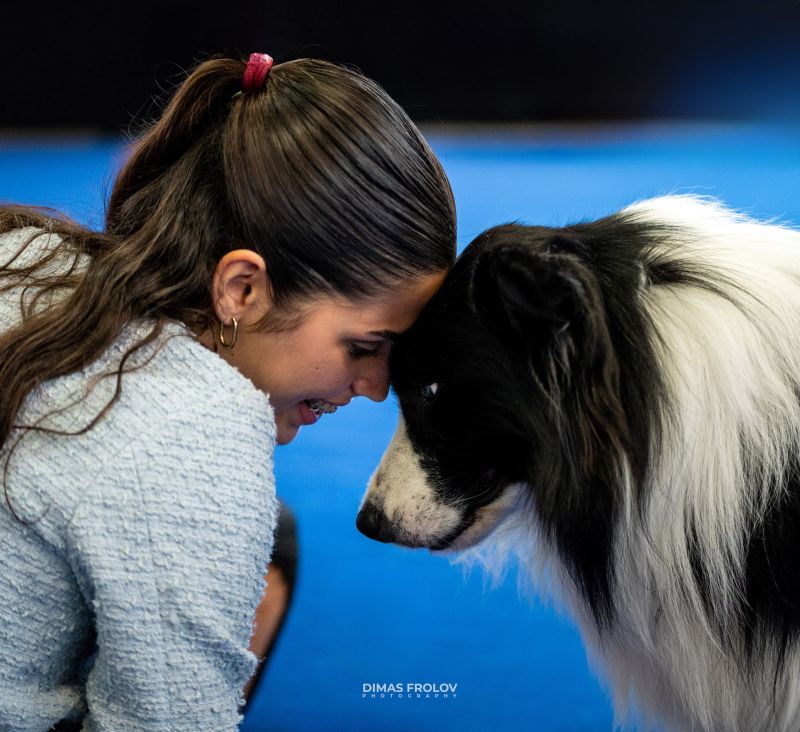 Aveiro Dog Show 2025